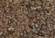 Detail image of the Baltice Gold granite.