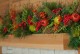 Detail image of cedar mantel shelf.